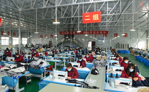 韓城 花椒鋪就致富路 51個(gè)貧困村脫貧出列 組圖