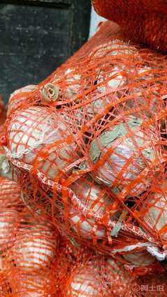 【新鮮蒜廠家直銷2017跑江湖地攤熱賣農(nóng)家大蒜10元3斤模式新鮮大蒜SC12343456SC1234 3456】金牛區(qū)坤億商貿(mào)部 - 產(chǎn)品庫