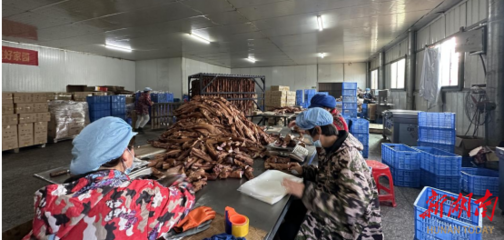 衡南縣江口鎮大力發展鄉村車間 助力鄉村振興