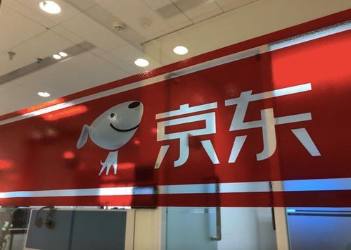 日用百貨 生活中的隱形守護(hù)者與市場(chǎng)變革